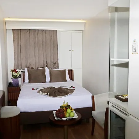Victory Hotel & Spa Istanbul-3